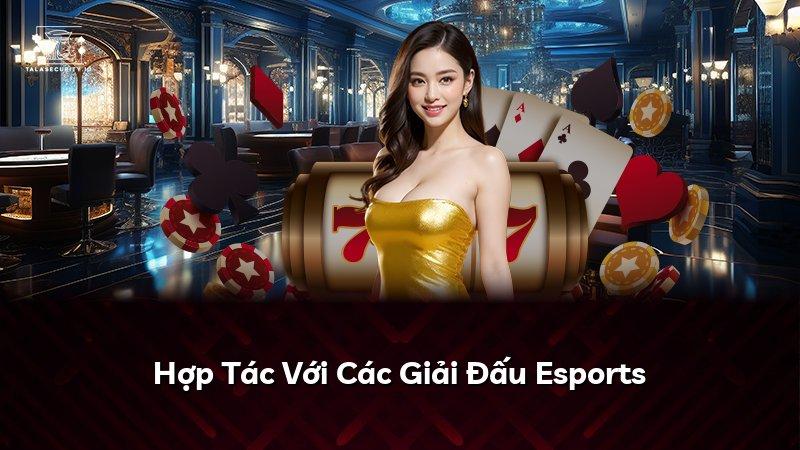 Hợp Tác Với Các Giải Đấu Esports
